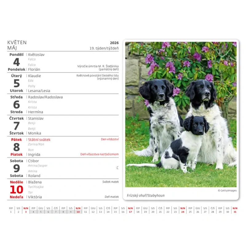 Kalendár stolový 2026 MiniMax Psíčkovia