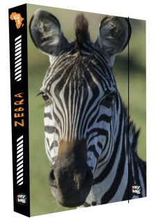 Box na zošity A4 KARTON P+P Jumbo Zebra