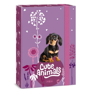 Box na zošity A4 ARS UNA Cute Animals Puppy