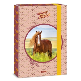 Box na zošity A4 ARS UNA My Sweet Horse