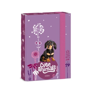 Box na zošity A5 ARS UNA Cute Animals Puppy